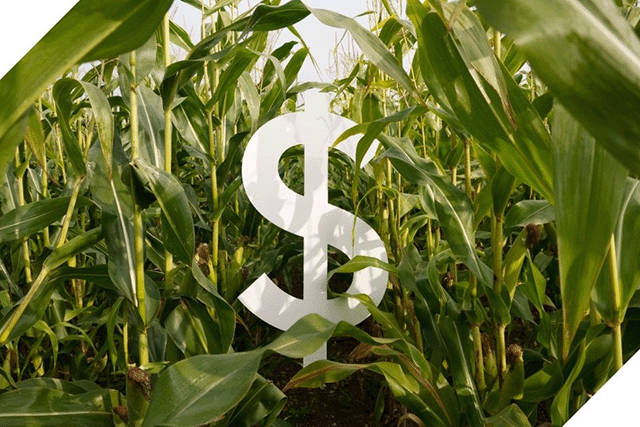 Dollar-logo